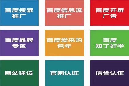 成功案例：竞价SEM托管助力品牌营销